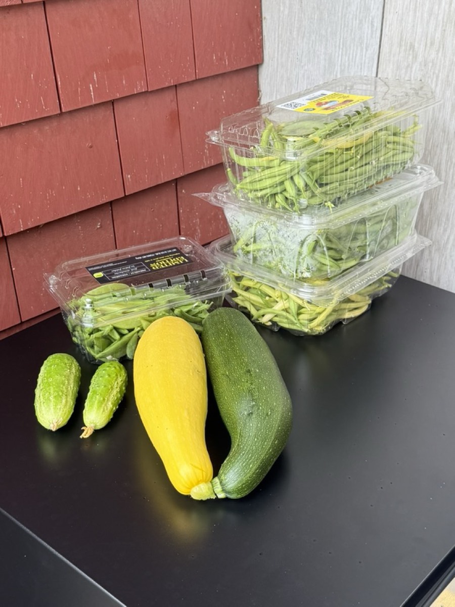 A fresh harvest from the community garden