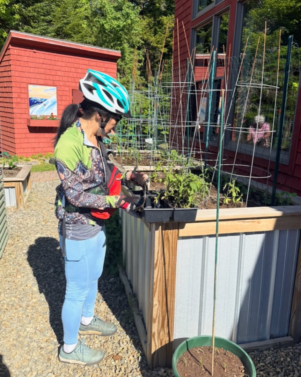 A volunteer planting seedlings at the community garden